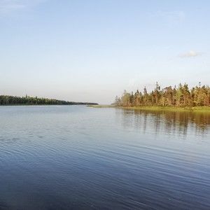 Meet your Posher, Corina